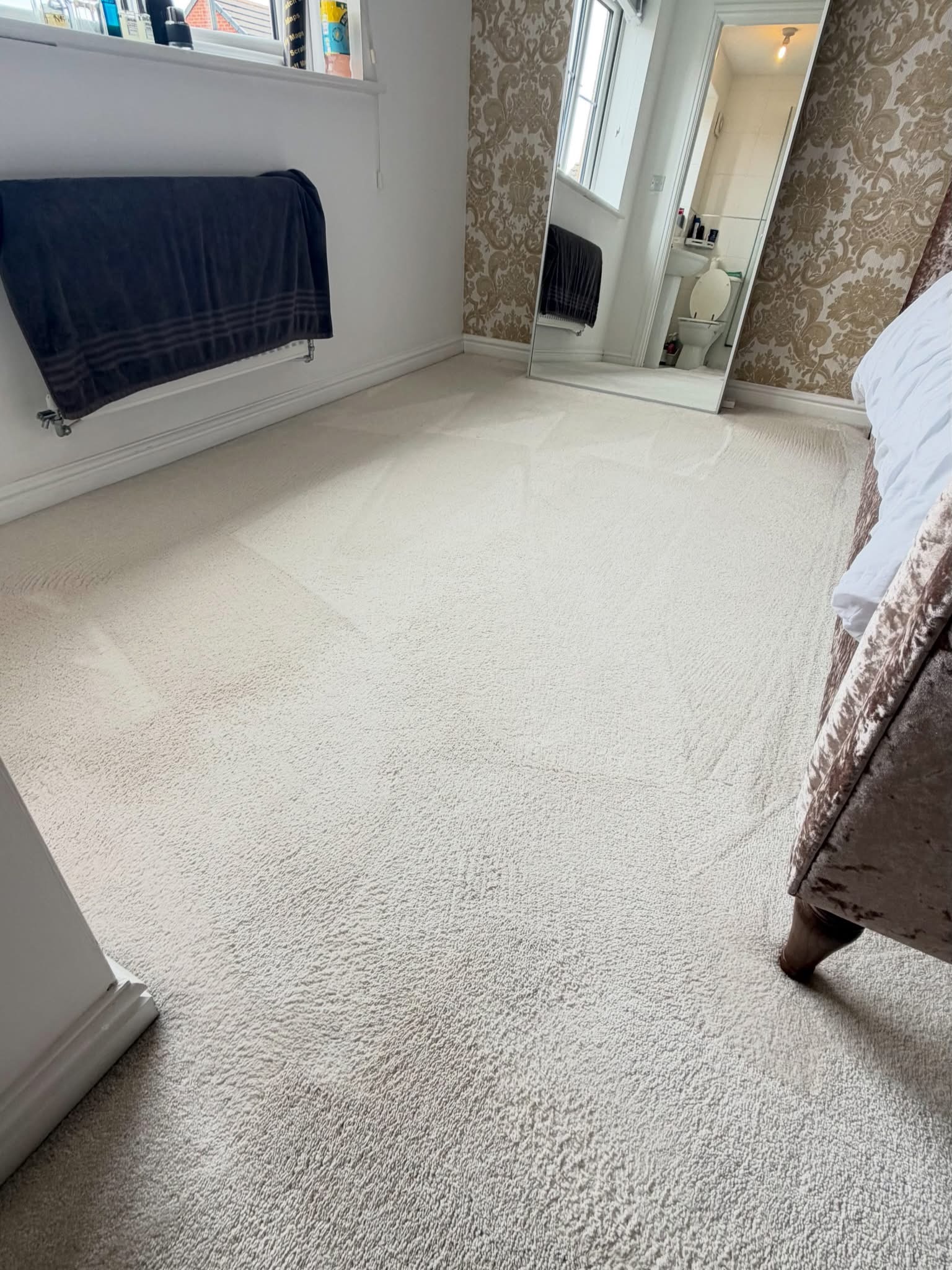 Clean carpet result