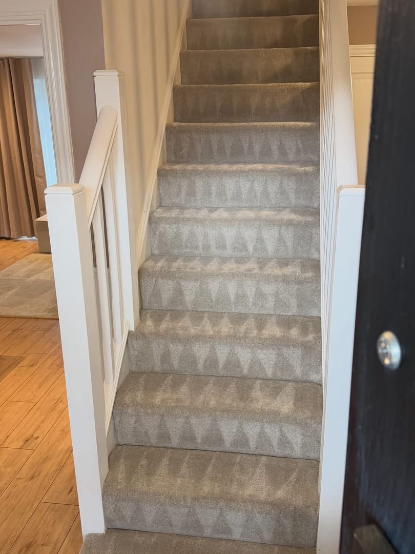 Freshly cleaned staircase carpet