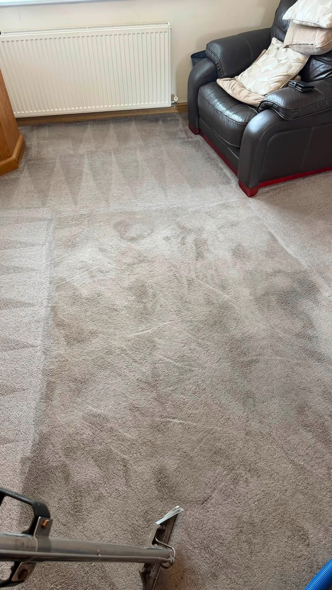 Carpet cleaning in progress